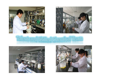 DBE Benzyl Alcohol Propanediol Glycol Phenyl Ether , PPH Replace Isophorone , Cyclohexanone